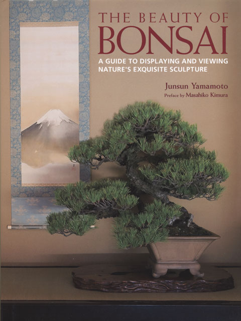 The Beauty of Bonsai