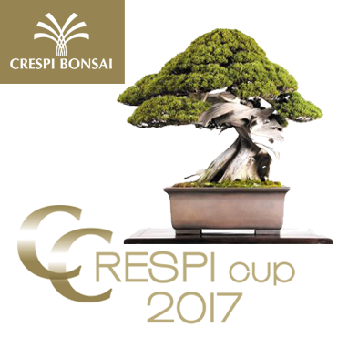 European Bonsai San Show 2016