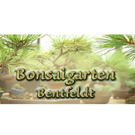 Bonsai Bendfeldt FH