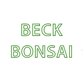 Beck Bonsai