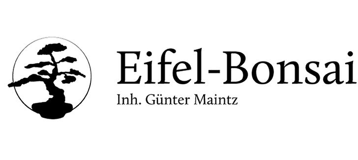 Logo Maintz FH web