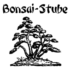 Bonsai-Stube Manfred Roth