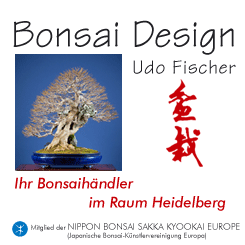 BONSAI DESIGN Udo Fischer
