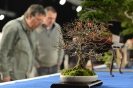Noelanders Trophy 2018