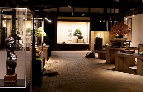 Bonsai Museum Heidelberg
