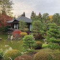 Toro Matsuri 22. - 31. Oktober 2022 Laternenfest im Japanischen Bonsai-Garten Ferch