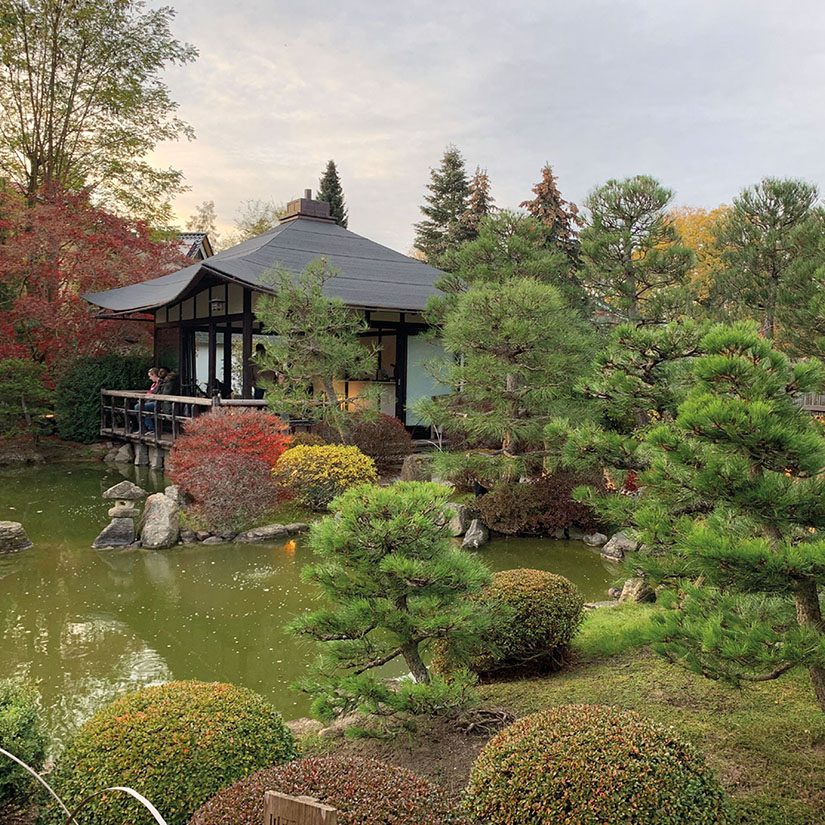 Laternenfest im Japanischen Bonsai-Garten Ferch