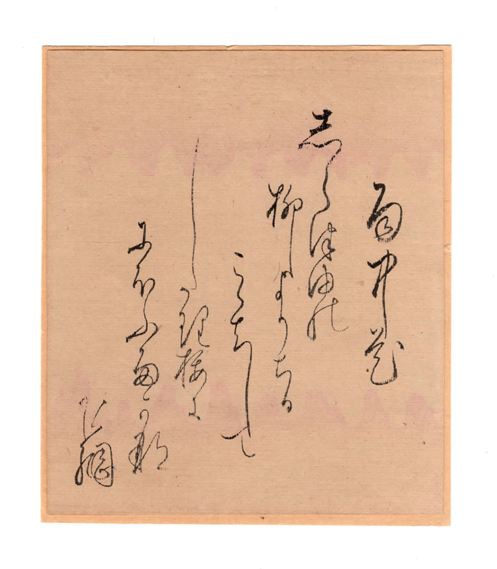 Blüten im Regen Eine alte japanische Handschrift wird entschlüsselt