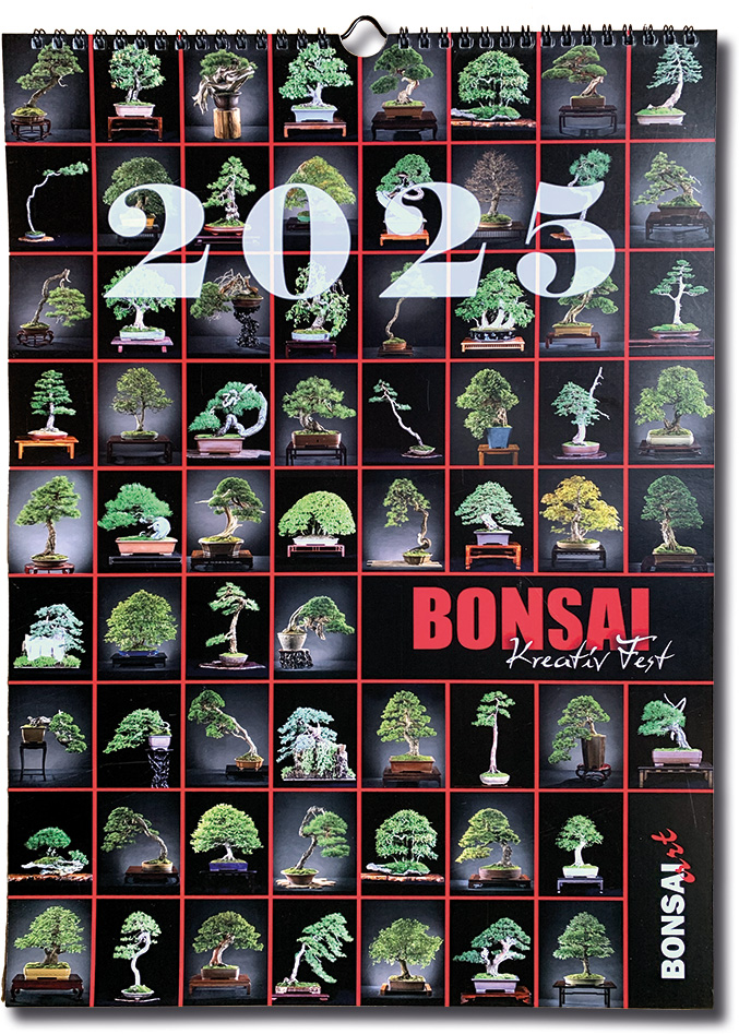  Kreativ Fest II - BONSAI ART Kalender 2025