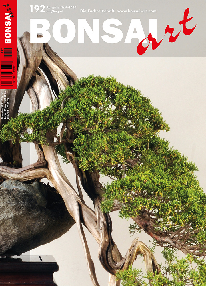 BONSAI ART 192