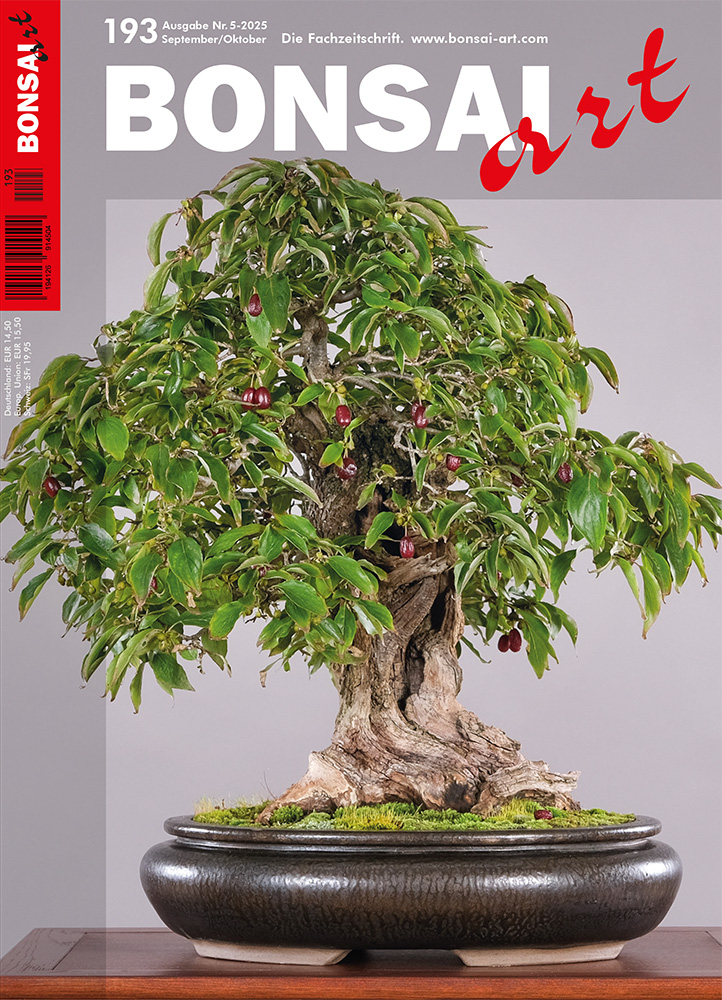 BONSAI ART 193