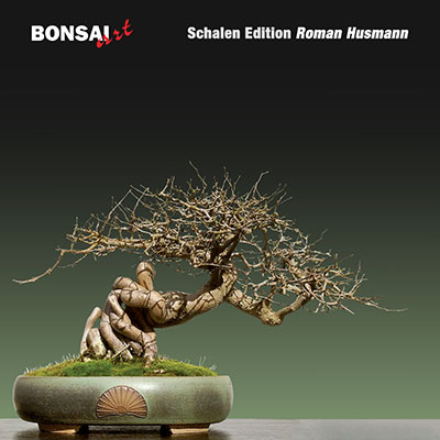BONSAI ART Schalen Edition Roman Husmann