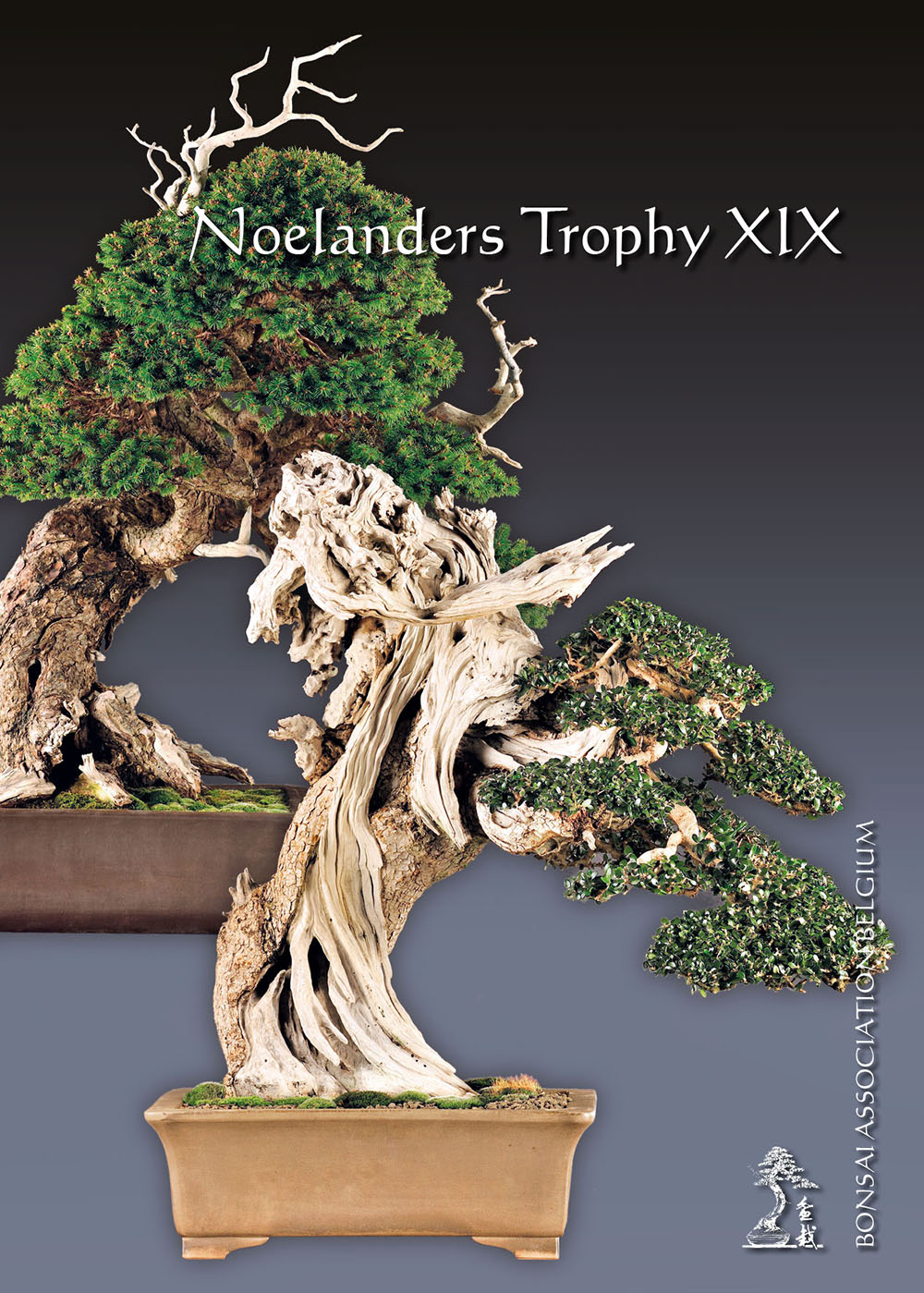 Noelanders Trophy XIX Bildband