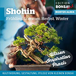 Frühling. Sommer. Herbst. Winter Kultivierung, Gestaltung und Pflege von kleinen Bonsai von Morten Albek