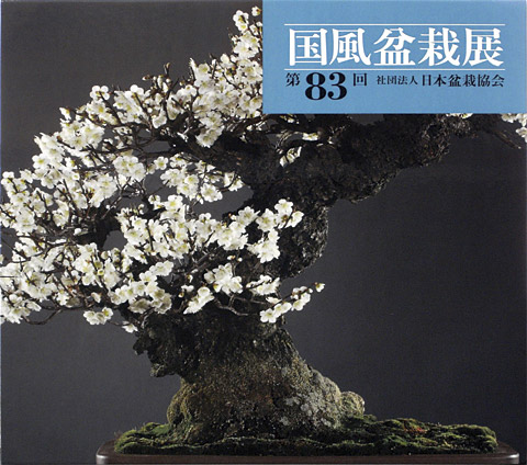 Kokufu 83 – der Bildband zur Kokufu-ten 2009
