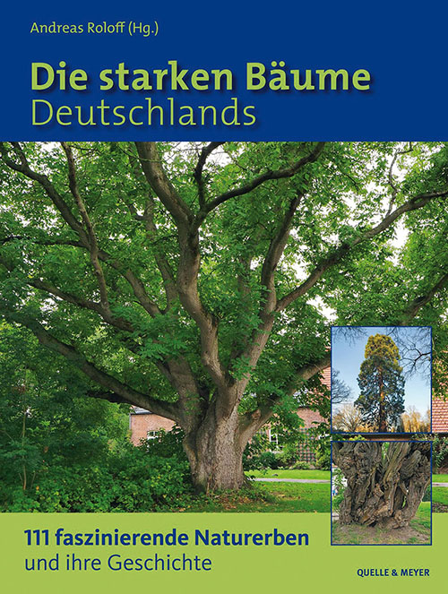 Die starken Bäume Deutschlands - Andreas Roloff