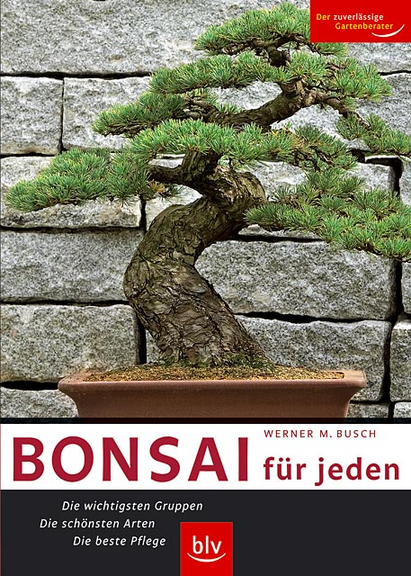 Bonsai für jeden