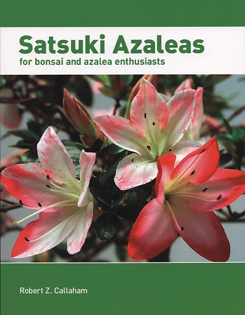 Satsuki Azaleas for bonsai and azalea enthusiasts