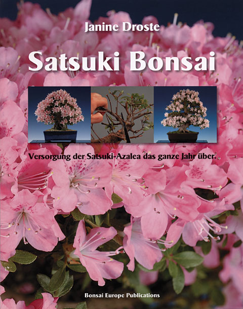 „Satsuki Bonsai“ von Janine Droste