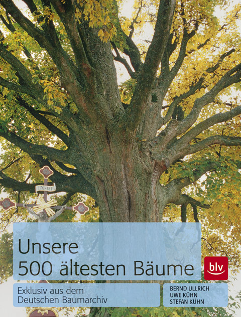 Unsere 500 ältesten Bäume