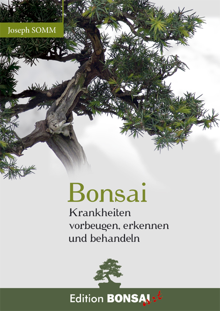 Bonsai. Krankheiten vorbeugen, erkennen und behandeln