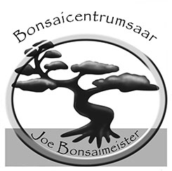Bonsaicwntrumsaar