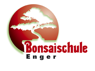 Bonsaischule Enger