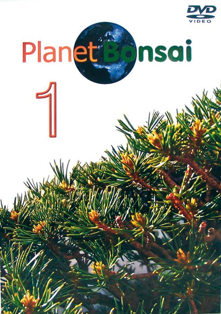 planet_bonsai_1.jpg