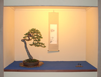 Präsentation in vollendeter Form: Eine Tokonoma auf der World Bonsai Convention mit Bonsai, Rollbild und Akzentobjekt.