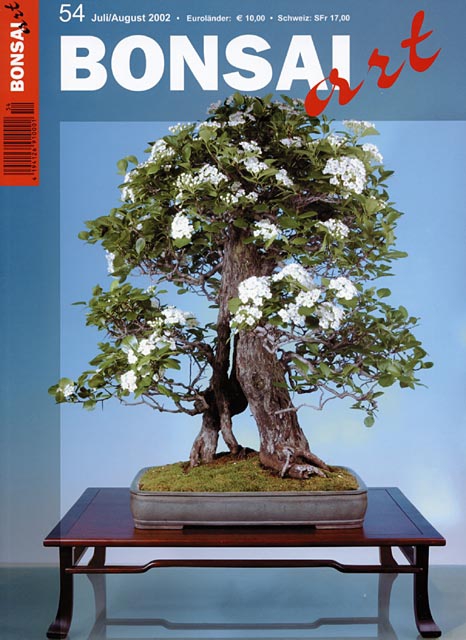 Logo:BONSAI ART 054