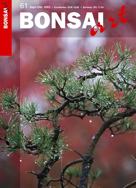 Logo:BONSAI ART 061