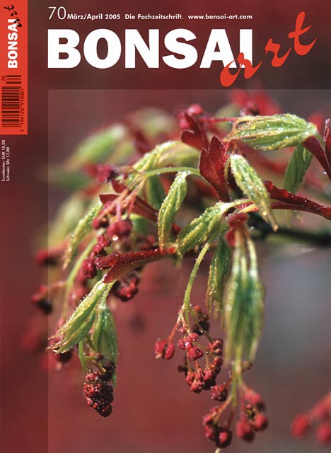 Logo:BONSAI ART 070