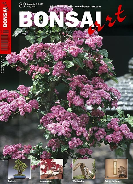 Logo:BONSAI ART 089