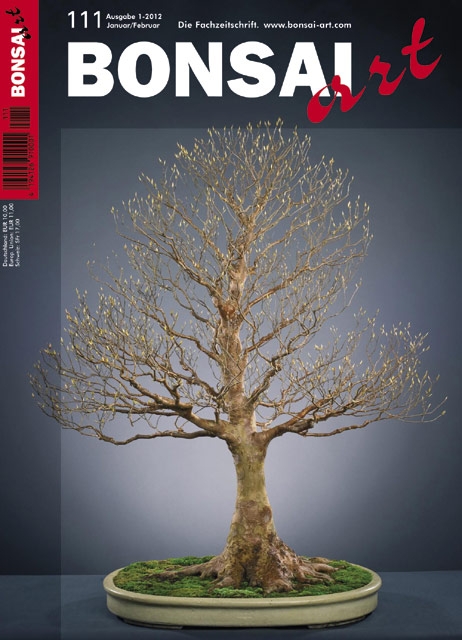 Logo:BONSAI ART 111