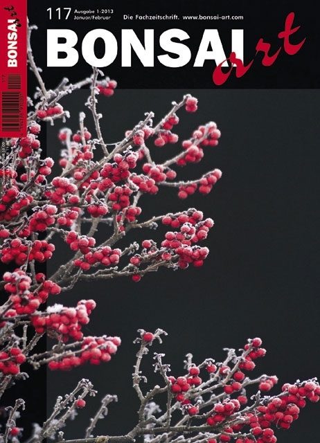 Logo:BONSAI ART 117