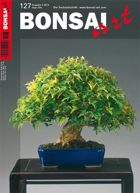 Logo:BONSAI ART 127