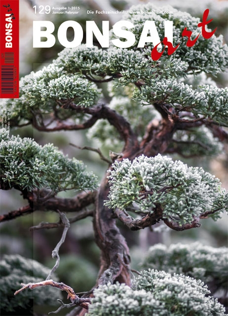 Logo:BONSAI ART 129