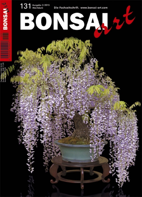 Logo:BONSAI ART 131