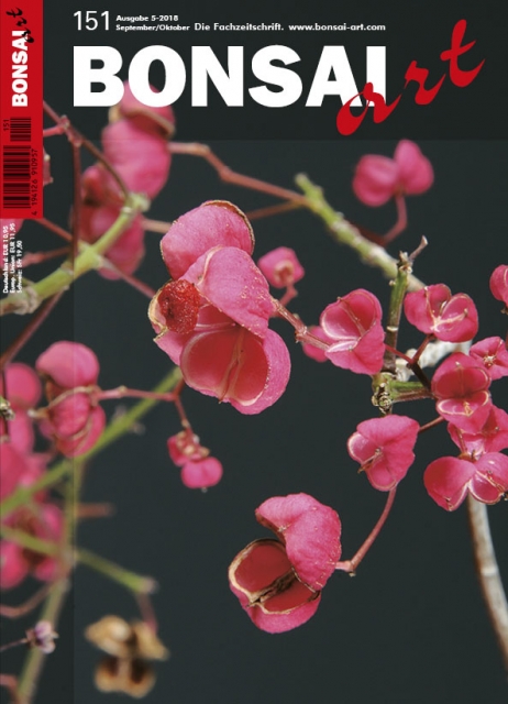 Logo:BONSAI ART 151