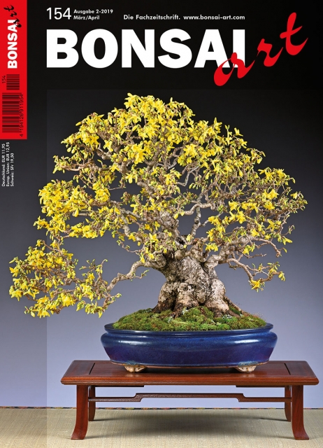 Logo:BONSAI ART 154