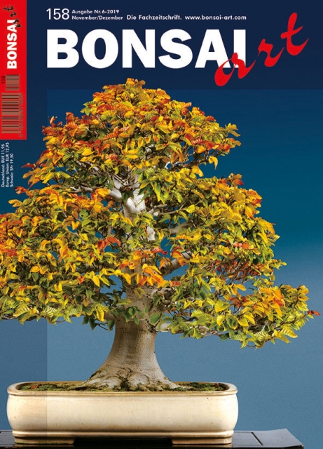 Logo:BONSAI ART 158