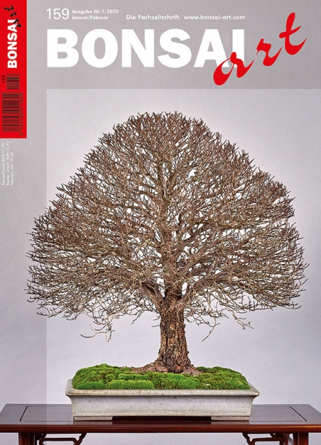 Logo:BONSAI ART 159