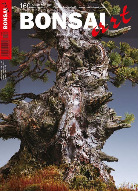 Logo:BONSAI ART 160
