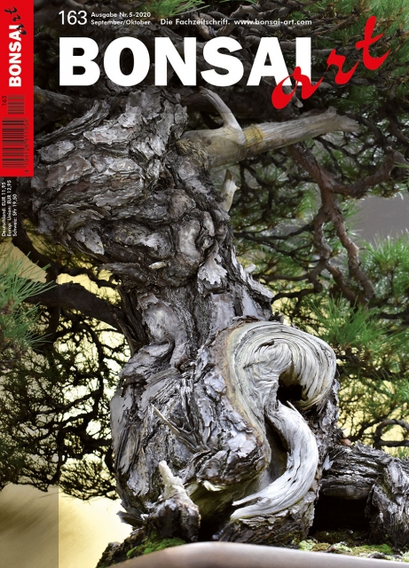 Logo:BONSAI ART 163