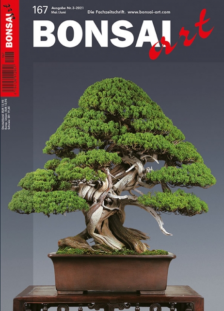 Logo:BONSAI ART 167