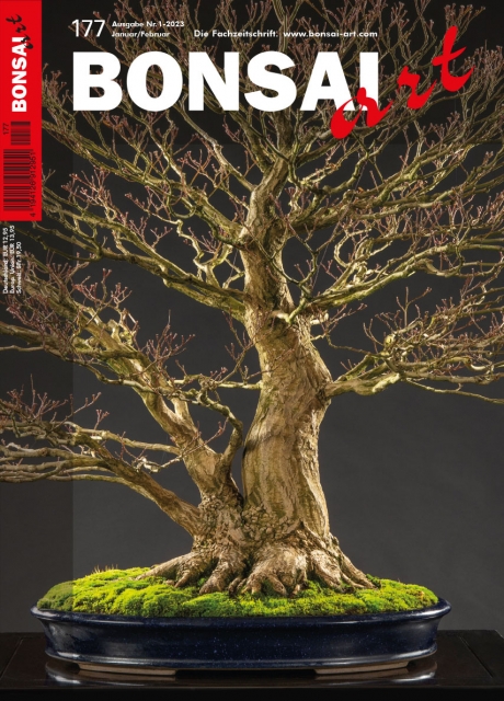 Logo:BONSAI ART 177
