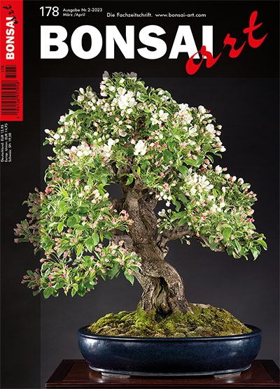 Logo:BONSAI ART 178