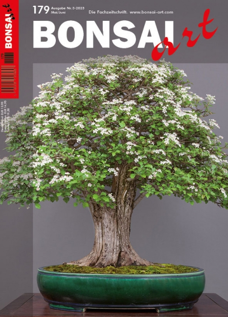 Logo:BONSAI ART 179