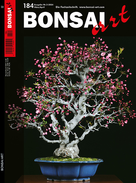 Logo:BONSAI ART 184