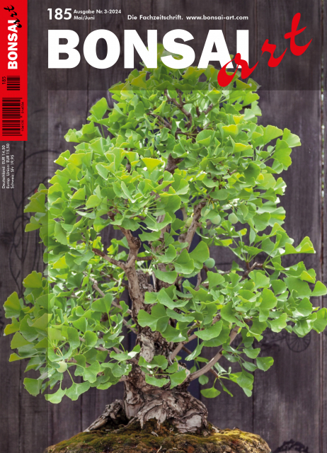 Logo:BONSAI ART 185